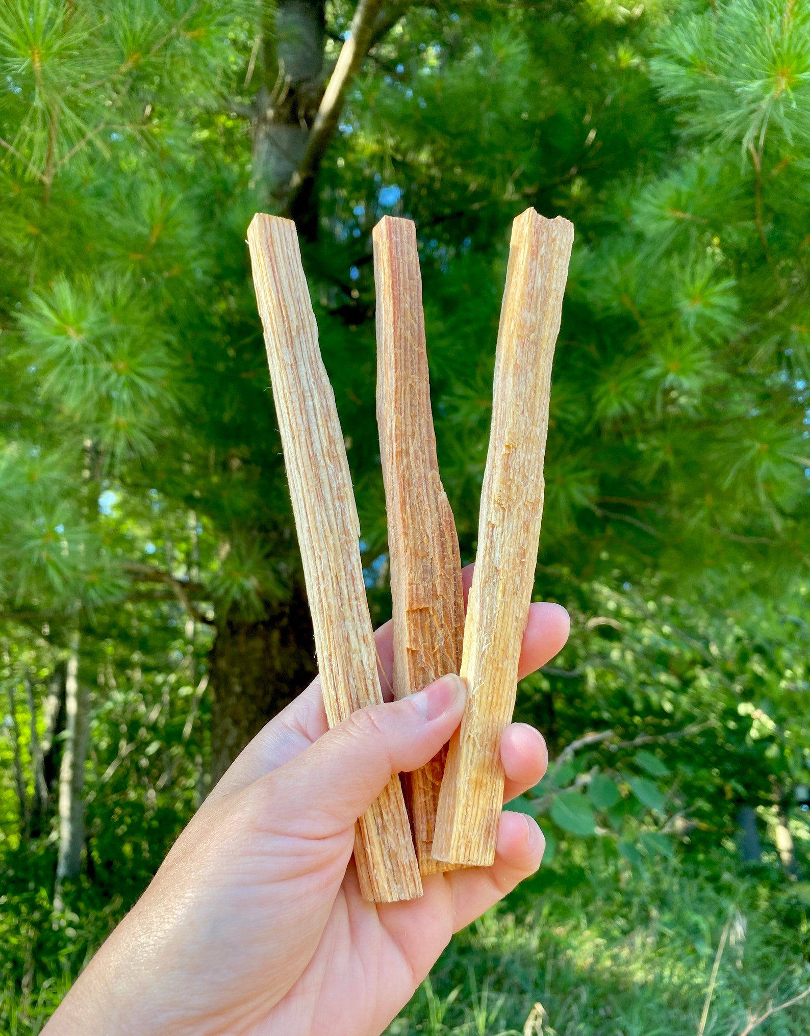Fatwood Sticks Sold Individually Pine Fatwood Pine Etsy