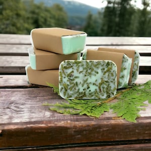 Organische vegane Seife - Teebaum & Zeder - ganz natürlich - handgemacht - leichtes Peeling - feuchtigkeitsspendend