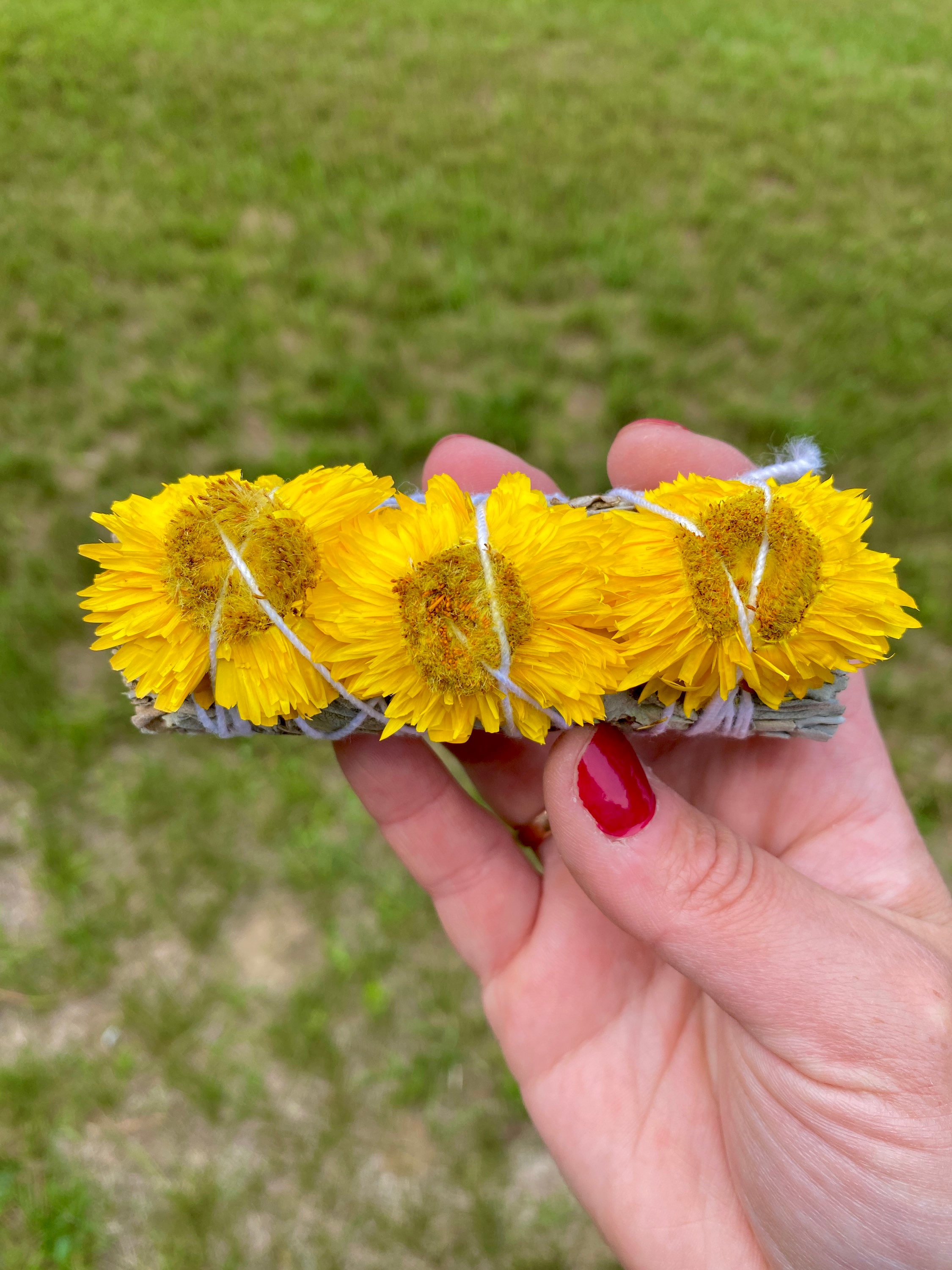 White Sage and Sunflowers Organic Wild Harvest