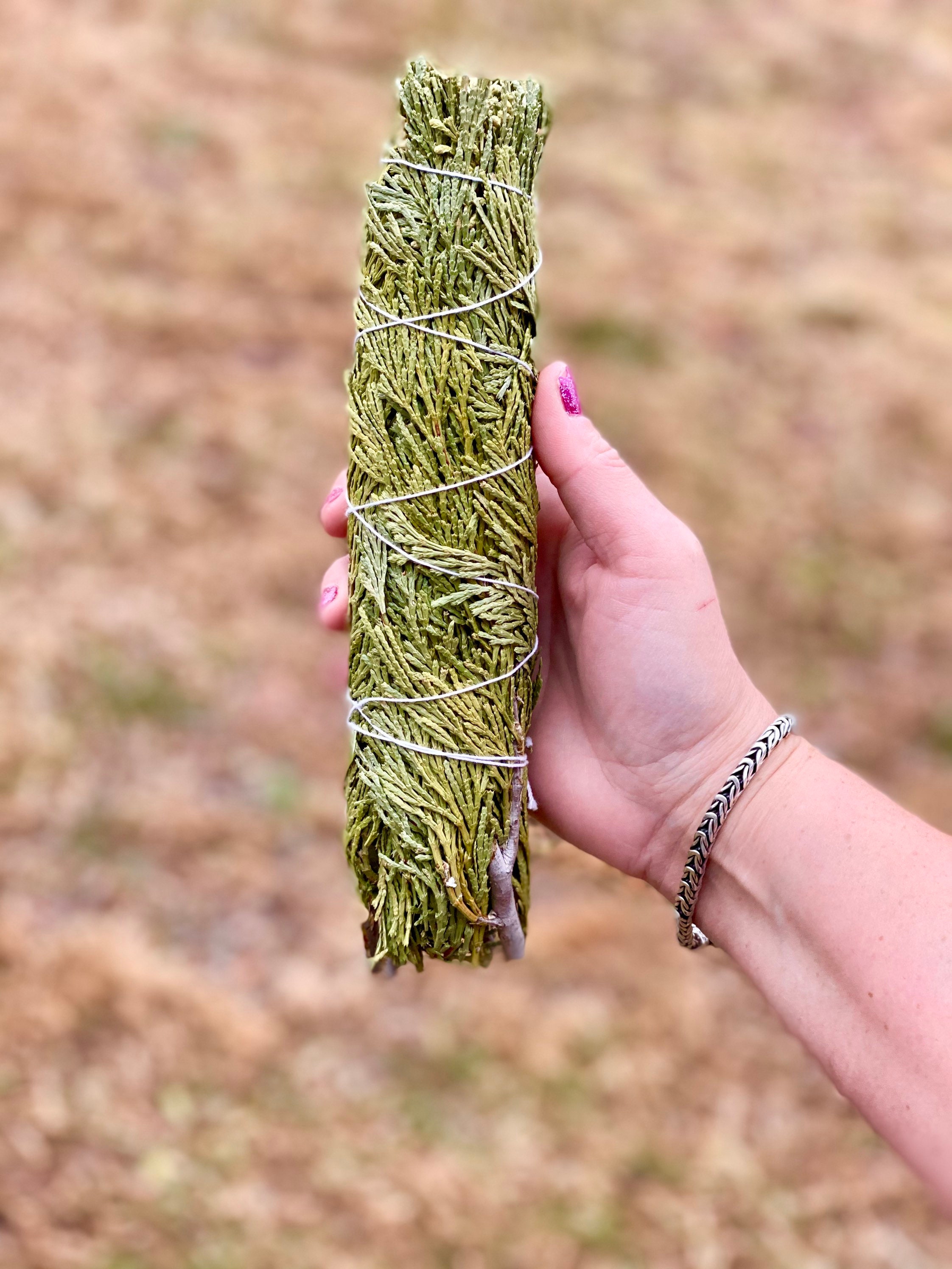 Large Cedar Smudge Sticks Sold Individually Organic Native American Wild Harvested