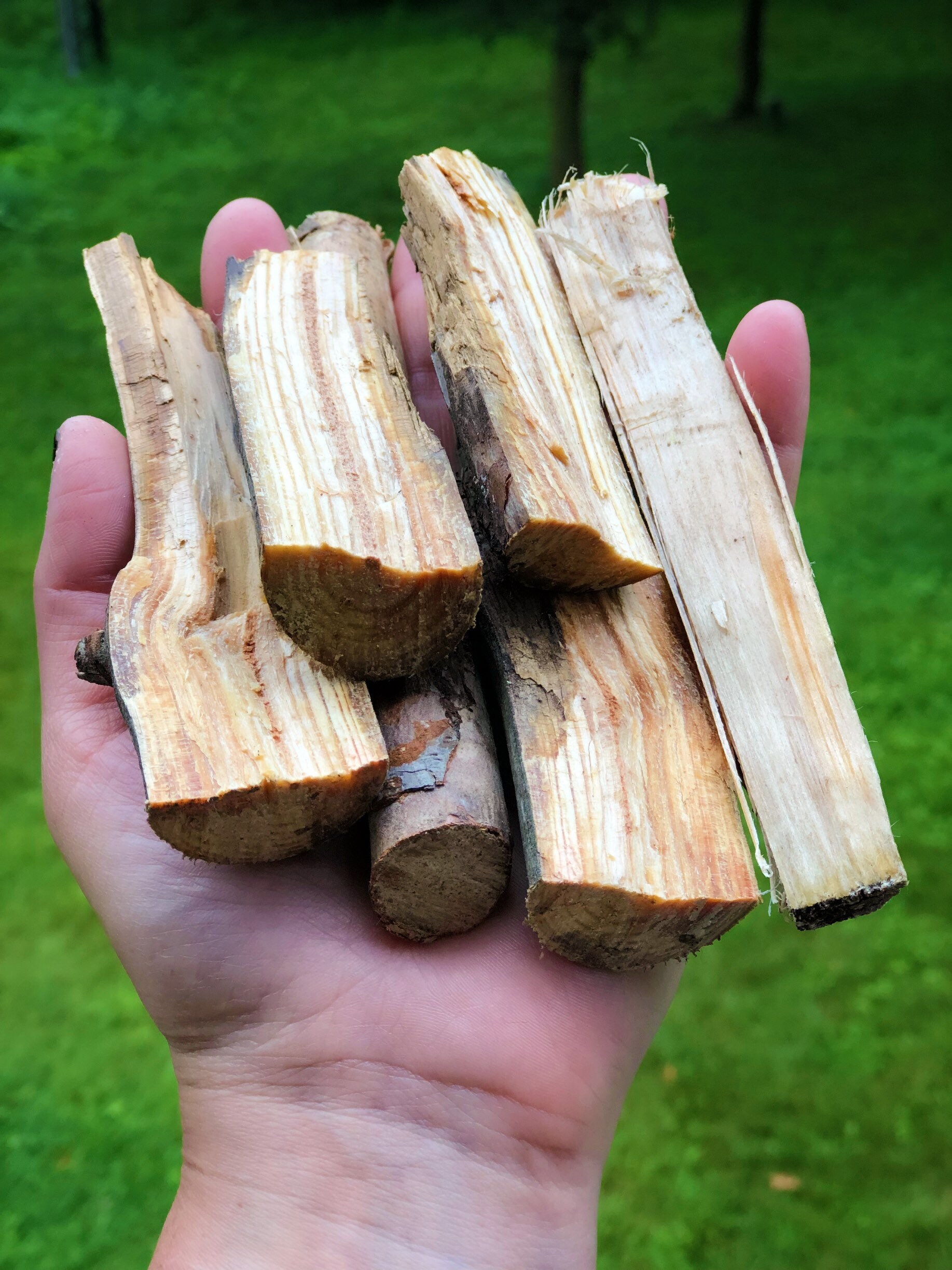 Fatwood Sticks Sold Individually Pine Fatwood Pine Smudge