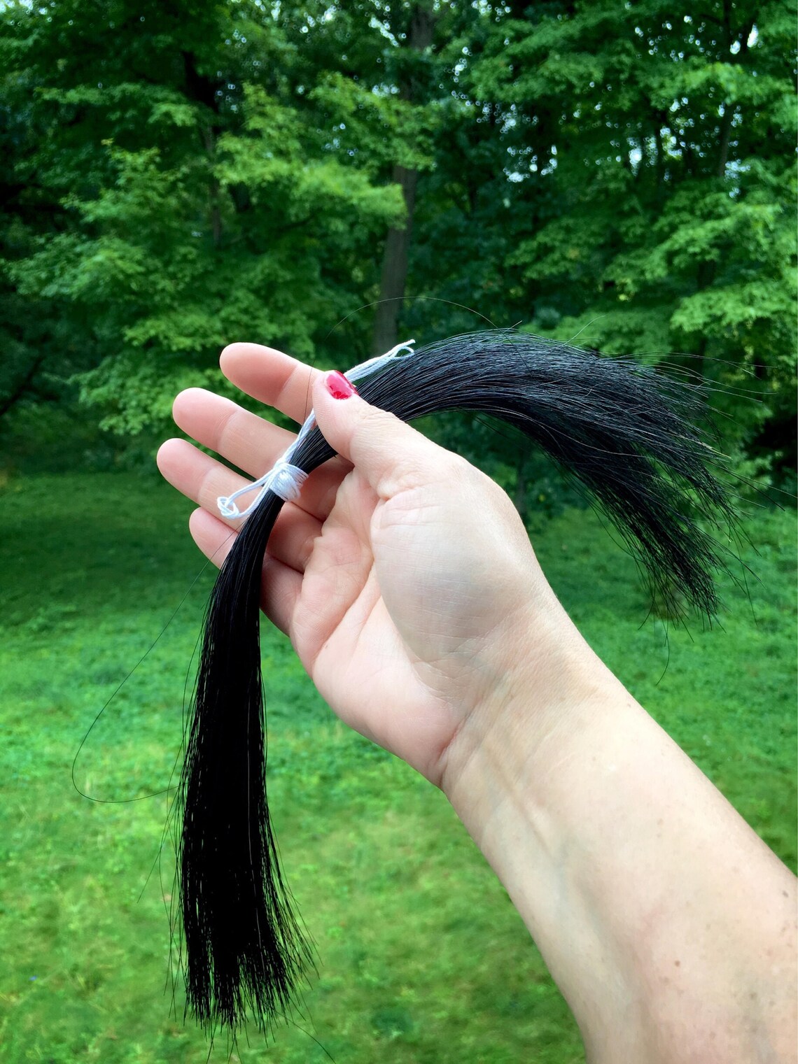 Use Your Own Horse Hair for A Custom Dreamcatcher Horseshoe Etsy