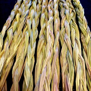 Sweetgrass Braid Sold Individually Native American Smudging Ceremonial Sweetgrass Traditional Native American Organic Sweetgrass image 3