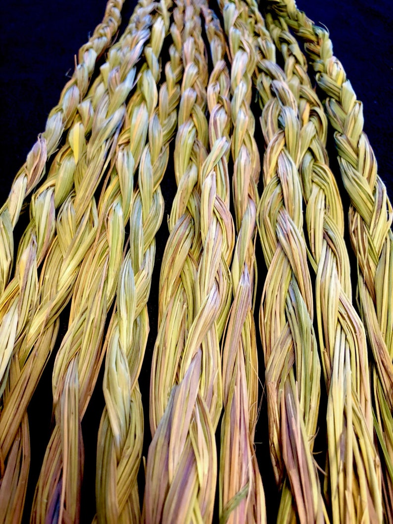 Sweetgrass Braid Sold Individually Native American Smudging Ceremonial Sweetgrass Traditional Native American Organic Sweetgrass image 3