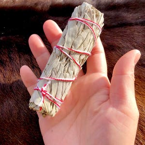 Op de afbeelding: Een witte salie smudge stick gebonden met rood en wit touw. De smudge stick is ongeveer 12,5 cm lang.