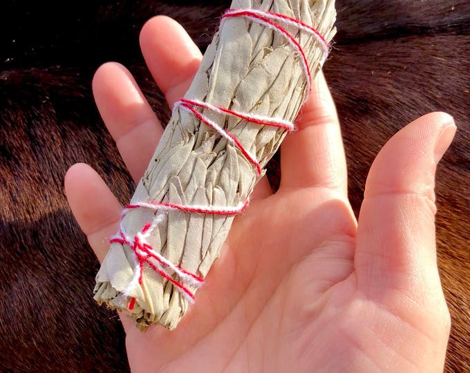 Organic White Sage Bundle - Sold Individually - Mini Size - Native American - Smudge Stick - Sage Wand - Cleansing - Removing Negativity