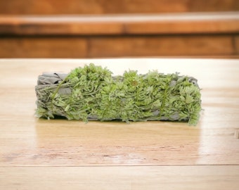 White Sage and Green Mullein Smudge Stick - 4” - Organic