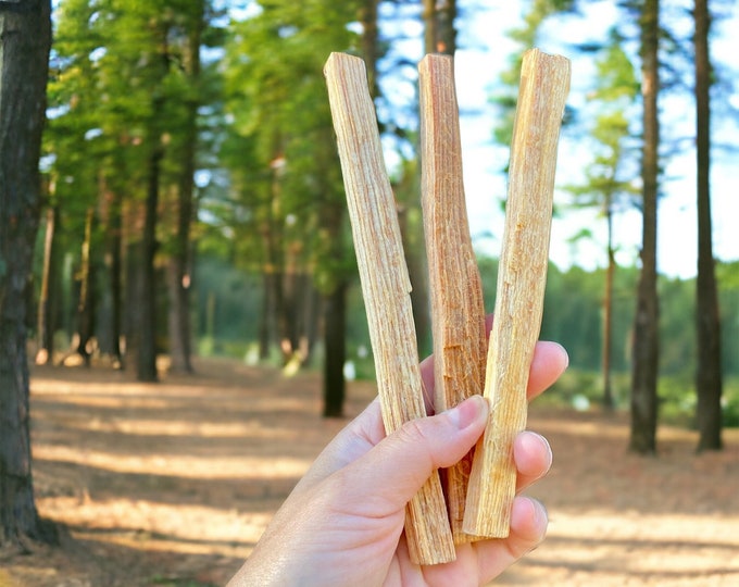 Fatwood Sticks - Sold Individually - Pine Fatwood - Pine Smudge - Native American - Heartwood - Highly Resinous