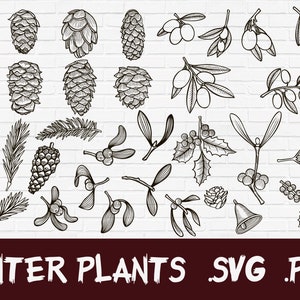 Ramo delle pigne SVG di Natale e elementi decorativi del vischio, file per Silhouette Cameo e Cricut. Clipart PNG trasparente incluso.