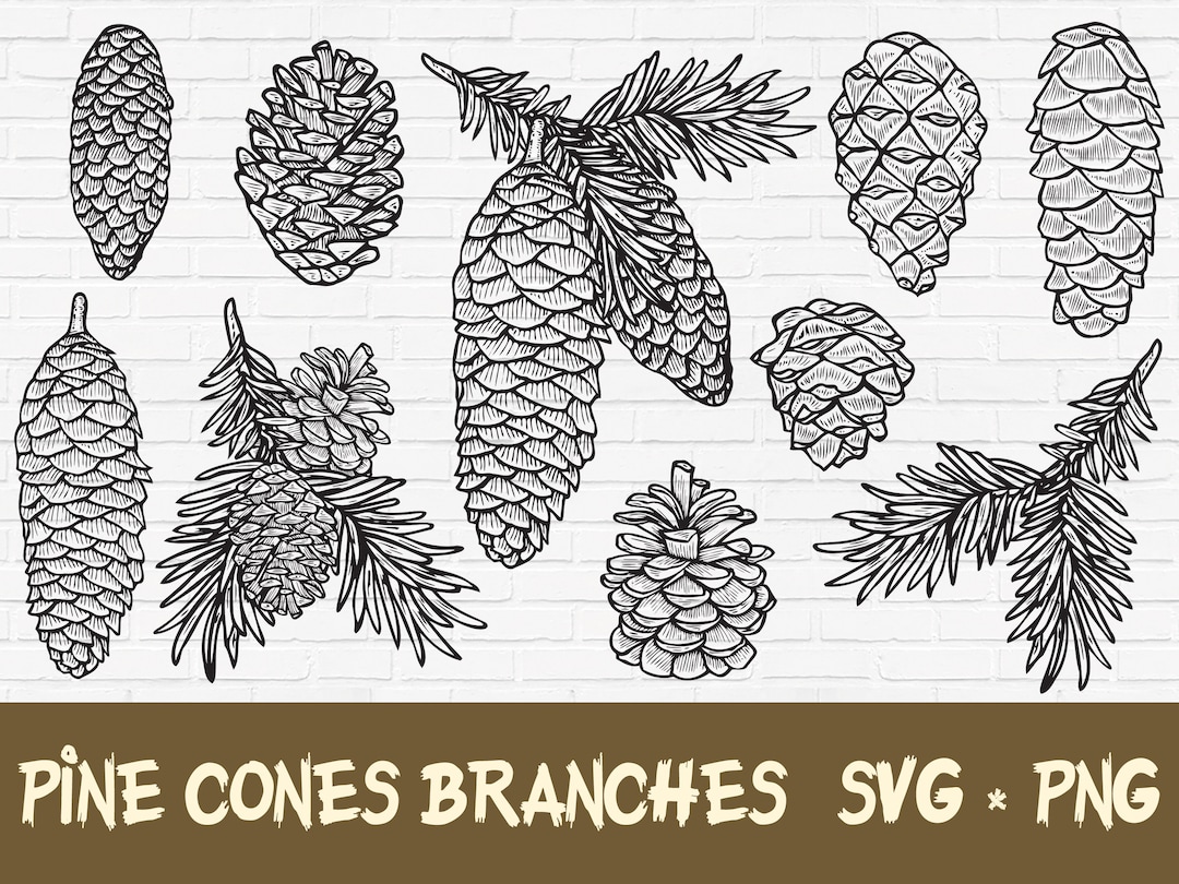 Navidad SVG piña Conos rama PNG Elementos decorativos, archivos para ...