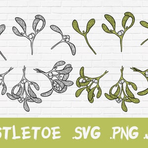 Navidad SVG Muérdago Ramas Elementos decorativos, archivos para Cricut. Wall Art Prints Descargar Clipart PNG transparente incluido.