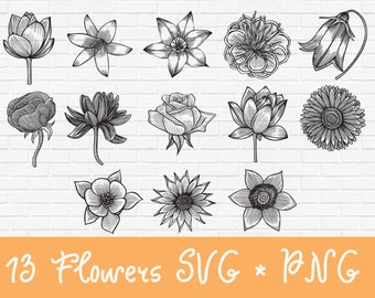 Bouquet svg bundle | fleurs svg png dessiné à la main png | | svg floral fleur de beauté svg | Bouquet de roses svg | | svg botanique tulipe svg