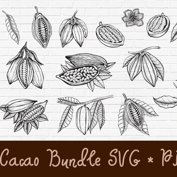 Cacao svg bundle hand drawn | Cacao branch svg | Cacao Chocolate cup svg | seeds svg | fruit bean leaf, flower svg | coffee png T-shirt