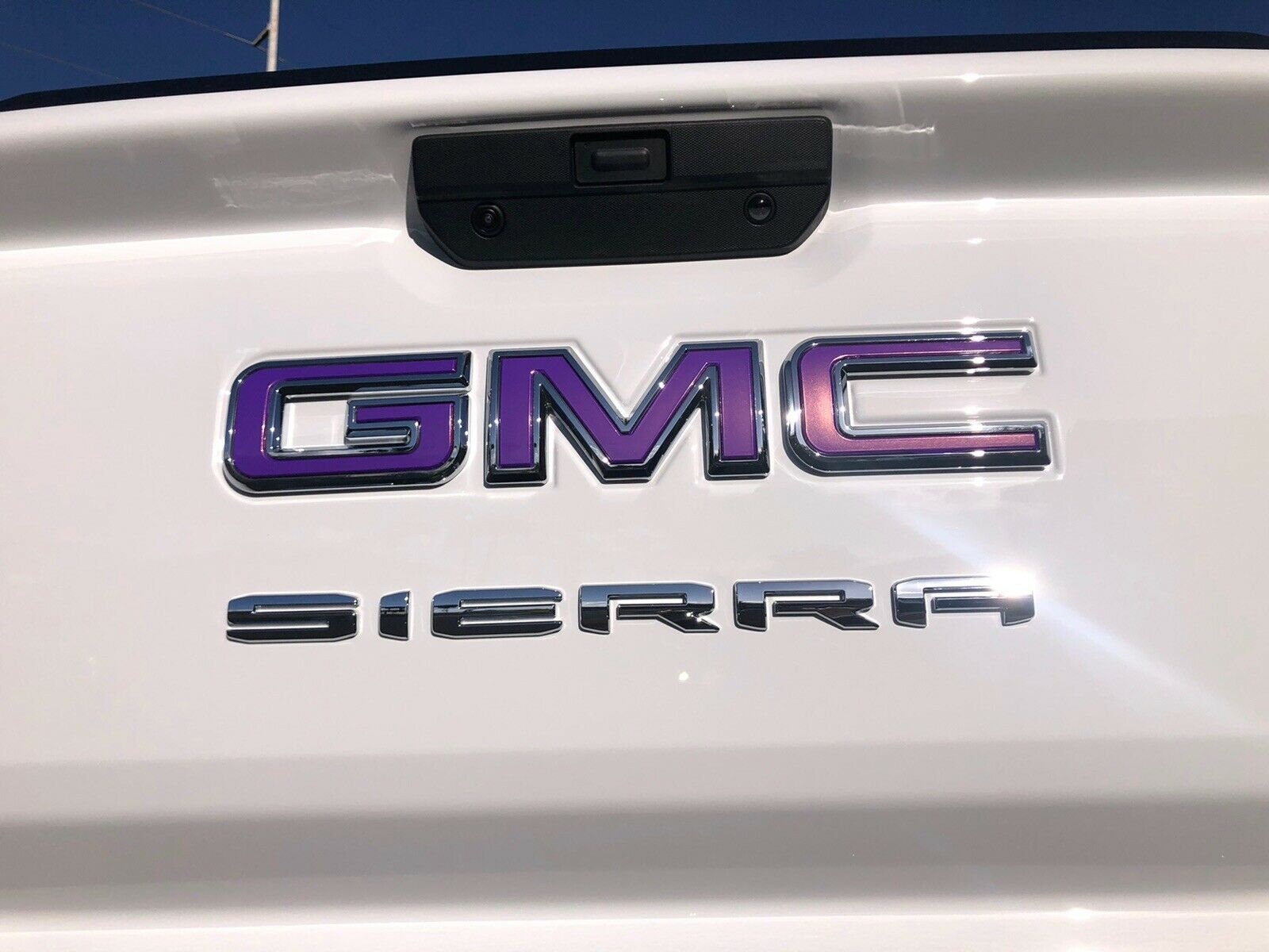 2019 2020 2021 GMC Sierra 1500 Emblem Overlay Decals PRECUT Etsy