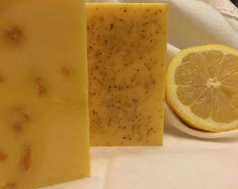 Sophia's Citrus Soapy Suds