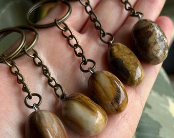 Petrified Wood Keychain: You choose the keychain