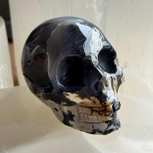 Volanco Agate Skull - natural agate UV reactive skull carving - black and white skull