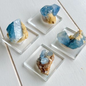 May include: Four blue celestite crystal clusters on clear square stands. The crystals have a light blue hue and are attached to a beige-colored matrix. The stands are arranged on a white wooden surface.