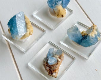 May include: Four blue celestite crystal clusters on clear square stands. The crystals have a light blue hue and are attached to a beige-colored matrix. The stands are arranged on a white wooden surface.