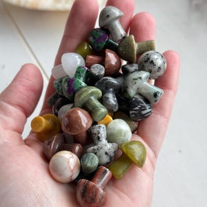 Mystery mini crystal mushroom carving