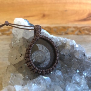 Ammonite Fossil - Macrame Pendant