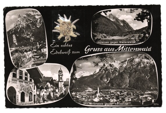 Traditional brooch Edelweiss Sharivari. Bavaria. … - image 9