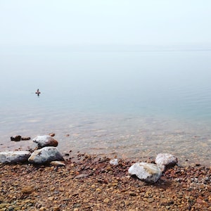 May include: A misty, still lake with a single person swimming in the distance. The shoreline is covered in small, smooth, brown and red stones.