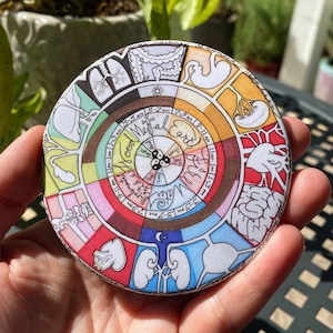 May include: A round, colorful coaster featuring a diagram of the human body's organs and meridians. The design includes text and is divided into sections with various colors. The coaster is held in a hand.