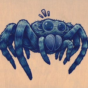 8x10" Jumping Spider Print