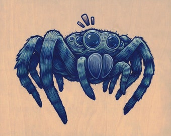 8x10" Jumping Spider Print