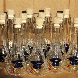 Sombrero y diploma de graduación, celebración, vasos de chupito pintados a mano para rakija y otros licores fuertes, regalo para invitados en el día de su graduación imagen 5