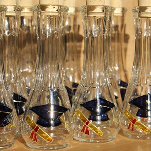 Sombrero y diploma de graduación, celebración, vasos de chupito pintados a mano para rakija y otros licores fuertes, regalo para invitados en el día de su graduación imagen 1