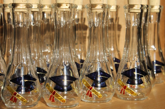 Graduation Hat And Diploma, Celebration, Hand painted-Shot Glasses for rakija and other hard liquors, Gift for guests on your graduation day