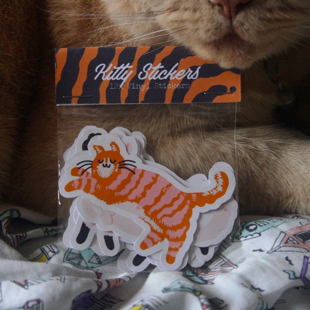 Kitty Sticker Pack - Etsy
