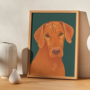 Custom Illustrated Pet Portraits A4 print