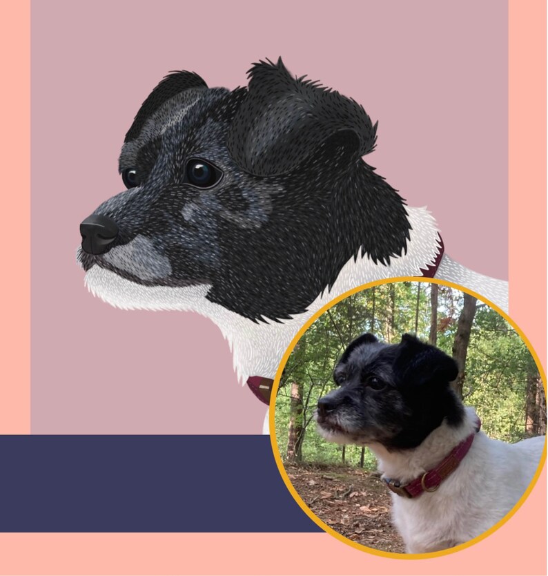 Custom Illustrated Pet Portraits Digital file only