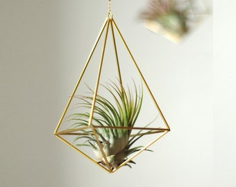 Planta de aire con soporte colgante, Himmeli Octahedron No. 02, estructura geométrica colgante, maceta colgante clavel aire, idea regalo