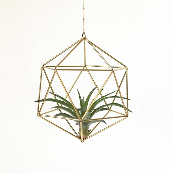 Himmeli Icosahedron No02 air plant included | plant holder gift idea house plants decoration