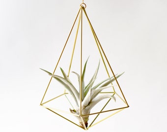 Air plant holder Himmeli Decahedron No. 02, brass planter, christmas gift, air plant container, airplants diamant, unique-gift-for-wife