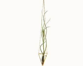 Air plant with holder, Himmeli Chained No. 01, hanging planter, plant hanger, air plant display, geometric gold terrarium, plant stand