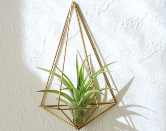 Air plant wall holder, plant lovers gilft, wall sconce, air plant container, unique-gift-for-wife, Himmeli Polyhedron No02