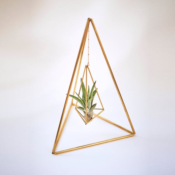 Planta de aire con soporte, estructura latón colgante, decoración mesa, maceta colgante clavel del aire, idea regalo, tetrahedron no02