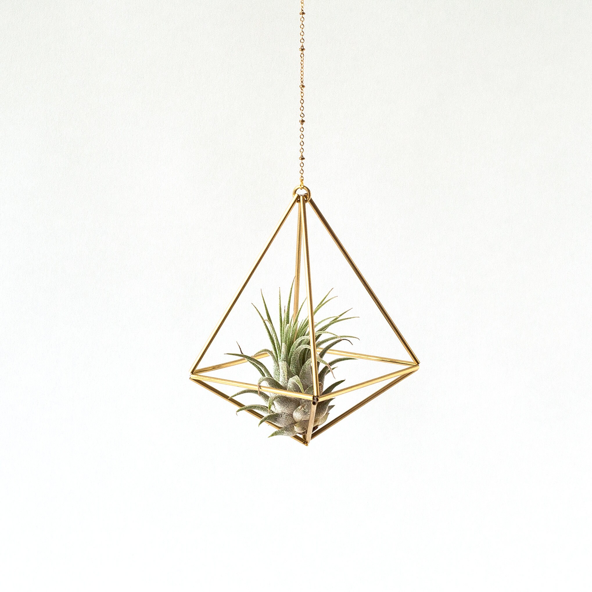 Air plant with holder, himmeli Octahedron No01, hanging planter, plant hanger, air plant display, airplant display, home decor gift