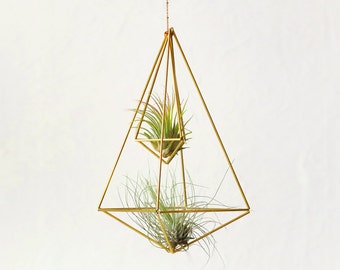 Ensemble de remorque Air Plants, double feu de circulation végétal, brass Himmeli Mobile, feu de circulation fleuri, or géométrique Himmeli Double n ° 02