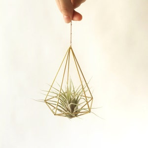 Air plant holder, airplant Himmeli, modern hanging planter, plant hanger, air plant geometric planter, home decor gift, Decahedron 01 image 3