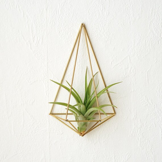 Air Plant With Wall Holder Plant Wall Sconce Wall Planter Etsy