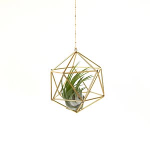 Air plant holder, Himmeli Icosahedron 01, modern hanging planter, plant hanger, air plant geometric planter, home decor gift