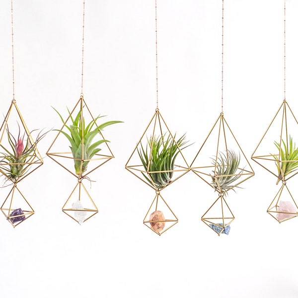 Air plant with holder and crystal, Himmeli hanging planter, Rose quartz, amethyst holder, gift for her, home decor gift, Christmas gift