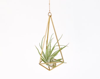 Air Plant Set Plant Hanger, Air Plant Metal Gold Bracket, Air Plants Brass Mobile, Himmeli Hexahedron No. 01