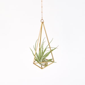 Hanging air plant holder, mini mobile Himmeli Hexahedron No. 01, plant hanger, air plant geometric planter, airplant gift, home decor gift